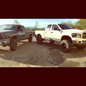 Meet your Posher, Gracie